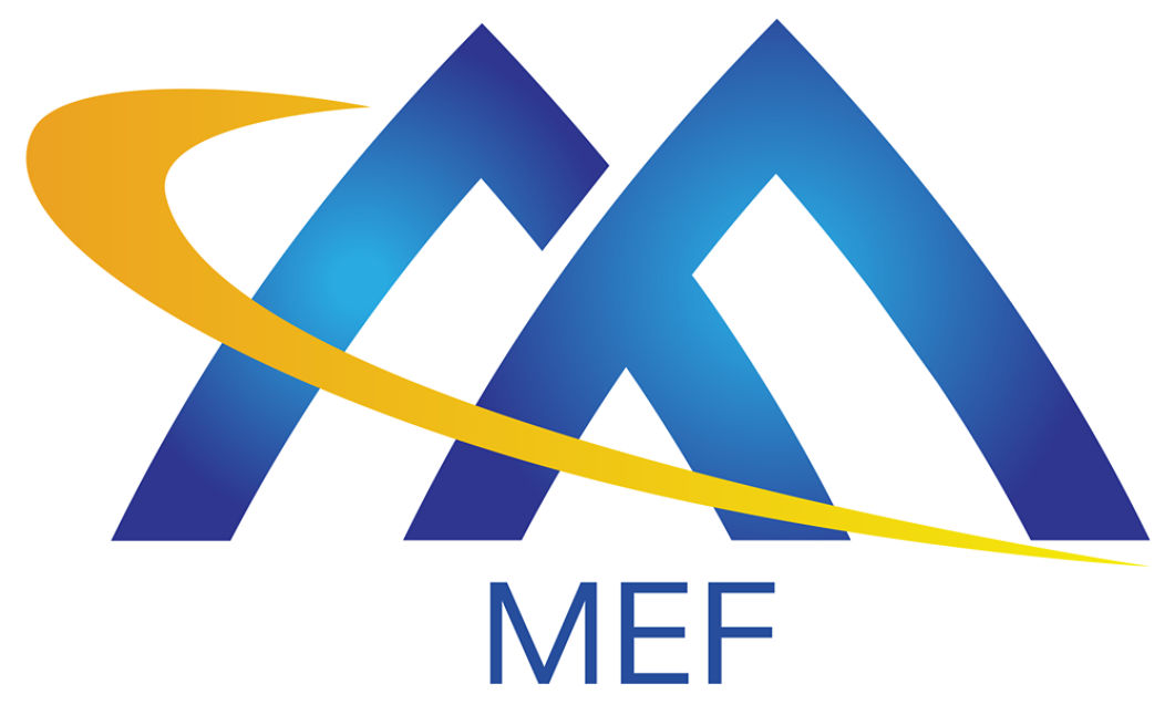 MEF Award logo