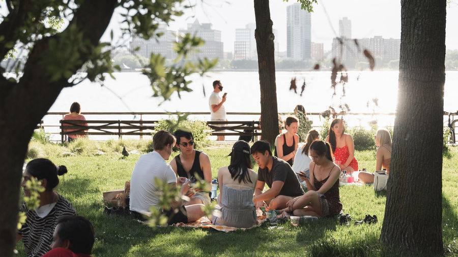 people having a picnic