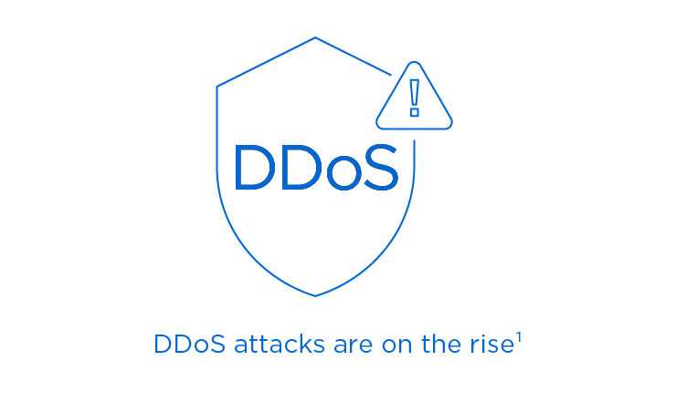 does spectrum have DDoS protection?
