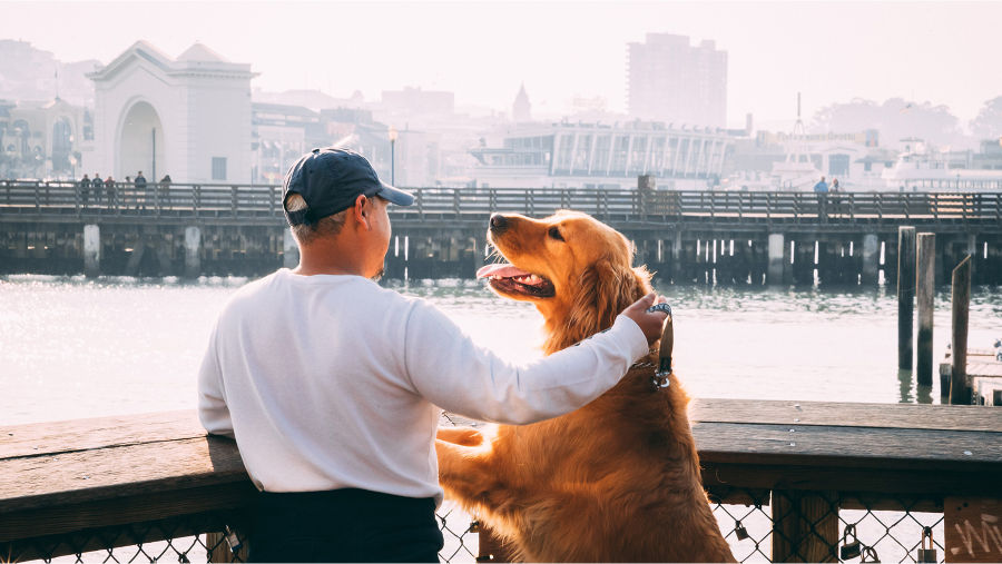 Man and dog