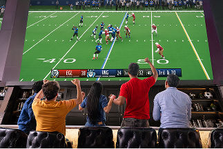 Big TV screen showing a football game, with customers standing in celebration cheering at a bar