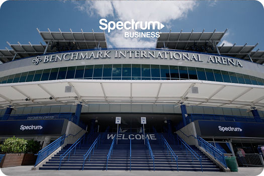 vinik sports group
